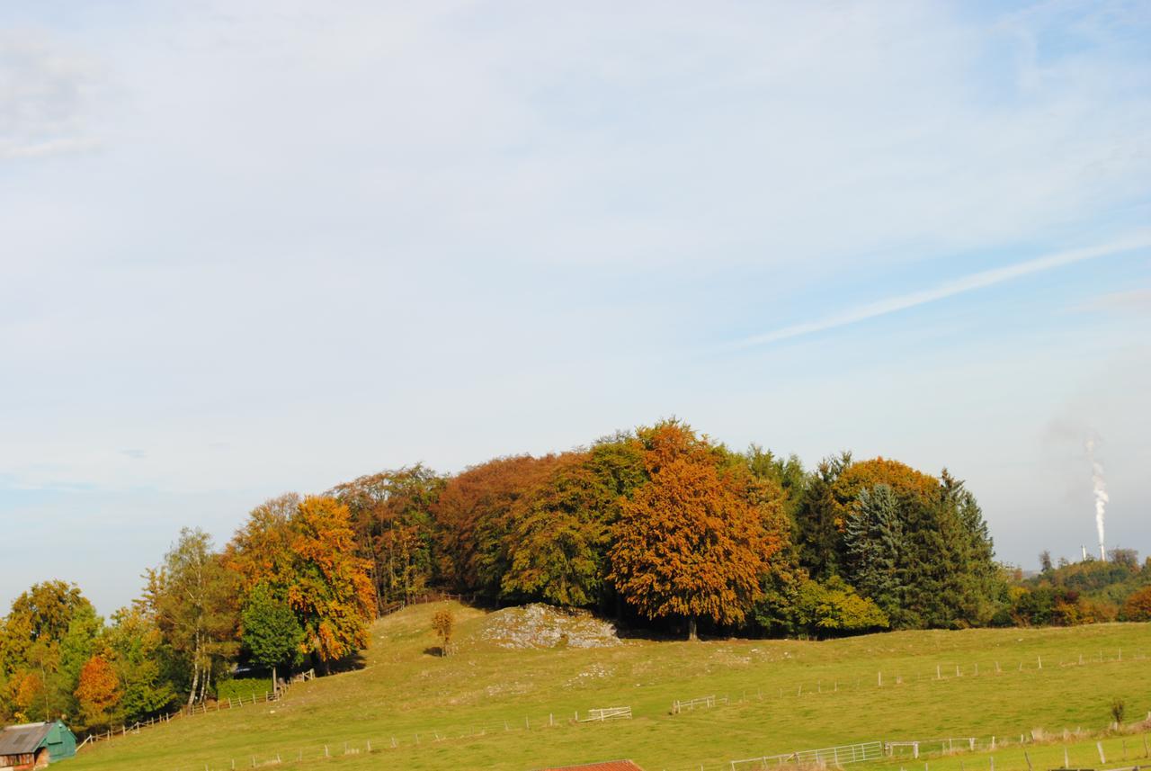Landgasthof Gruss บรีโลน ภายนอก รูปภาพ